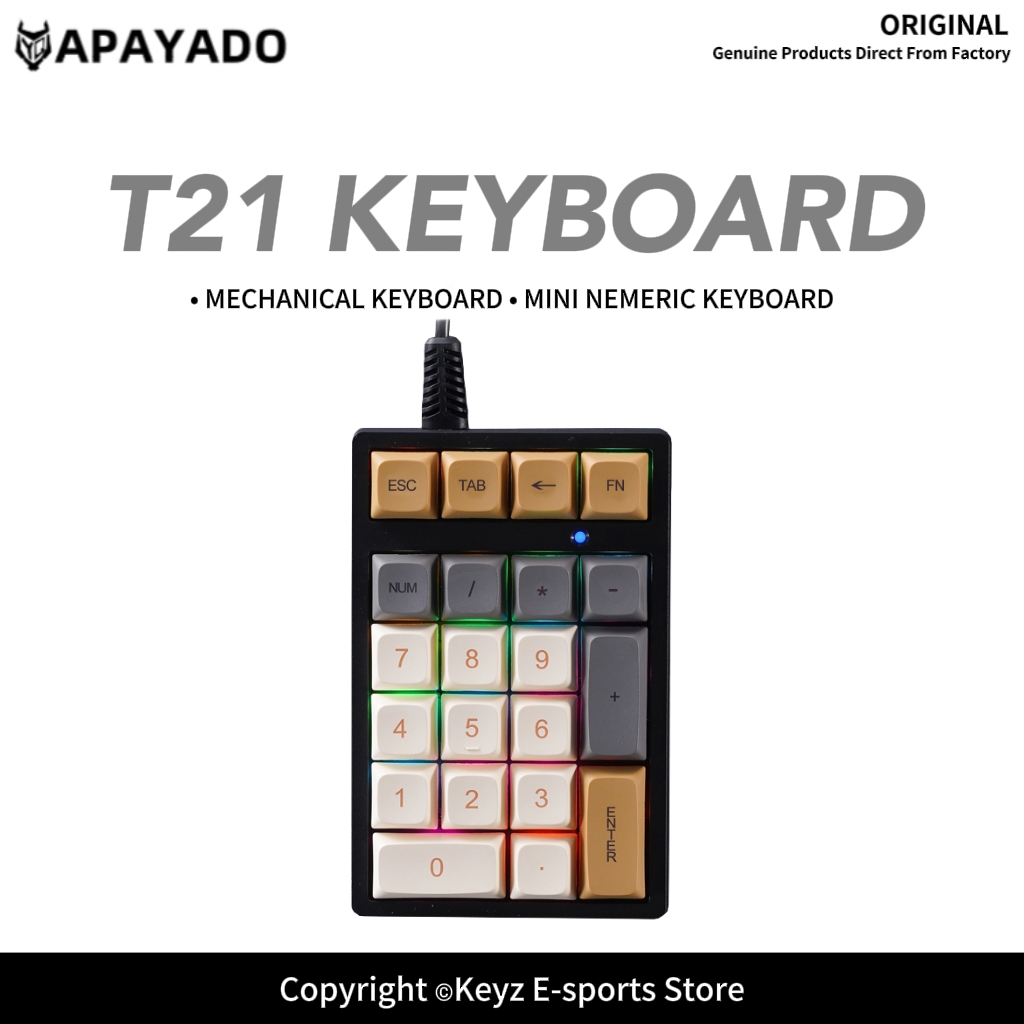 T21 Mini-Nummernblock mit RGB- – Keyboard Gaming Blue Switch Bewertung und Preis